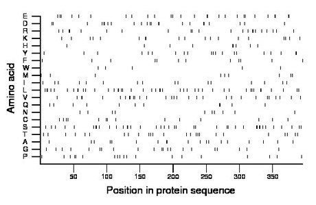 amino acid map