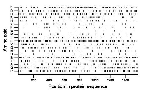 amino acid map