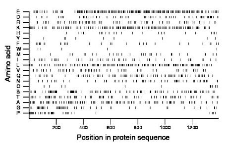 amino acid map