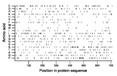 amino acid map