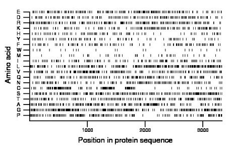 amino acid map