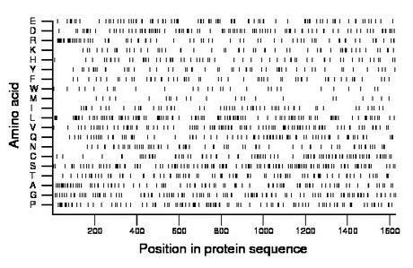 amino acid map