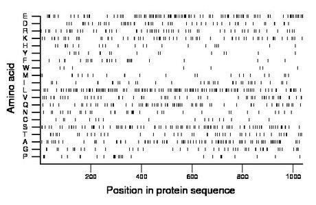 amino acid map