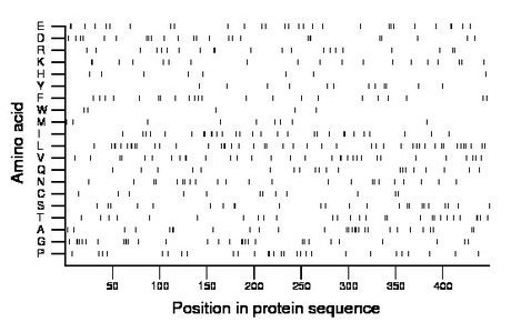 amino acid map