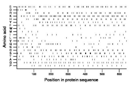 amino acid map