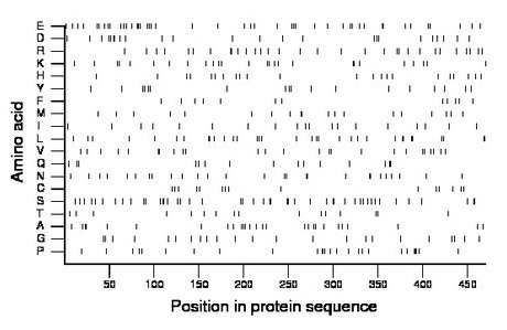 amino acid map