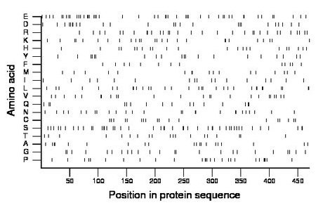 amino acid map