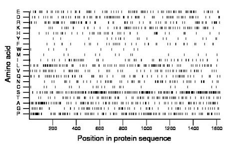 amino acid map