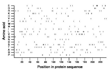 amino acid map