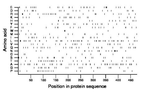 amino acid map