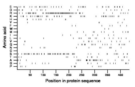 amino acid map