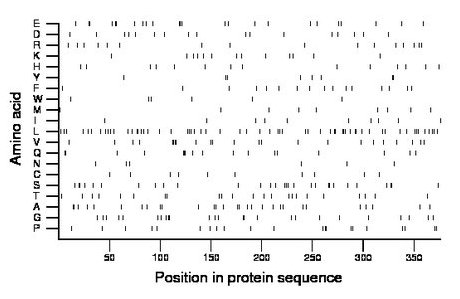 amino acid map