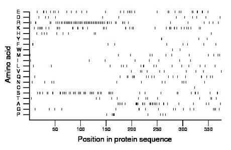 amino acid map