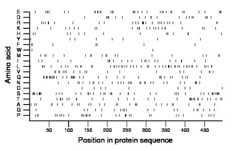 amino acid map