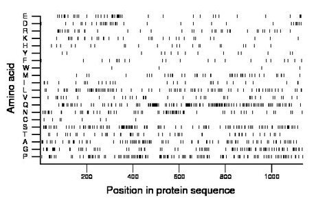 amino acid map