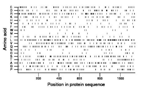 amino acid map