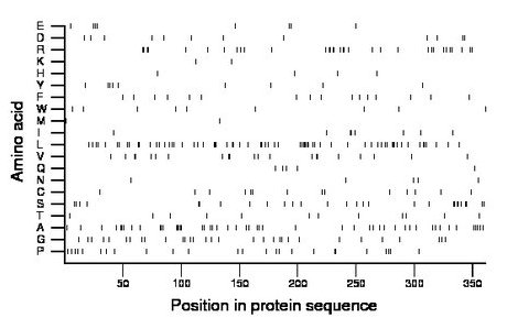 amino acid map