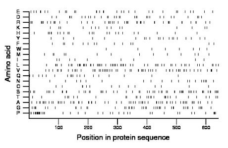 amino acid map