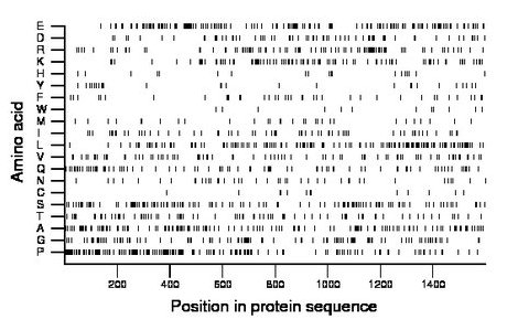 amino acid map