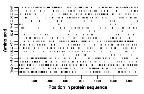 amino acid map