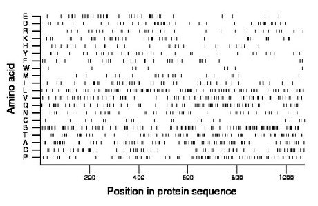 amino acid map