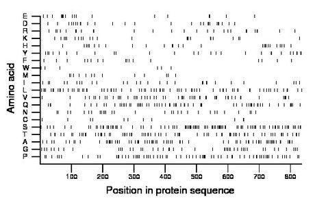 amino acid map