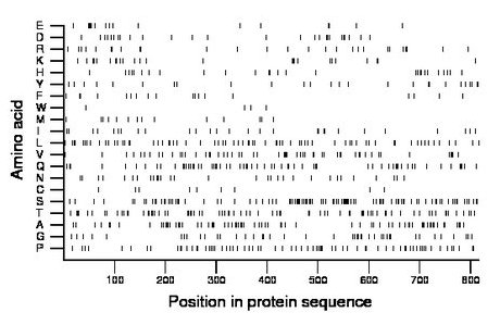 amino acid map