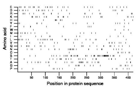 amino acid map