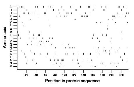 amino acid map