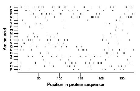 amino acid map