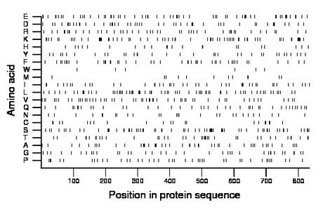 amino acid map