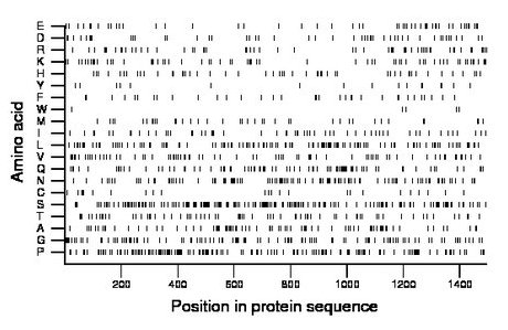 amino acid map