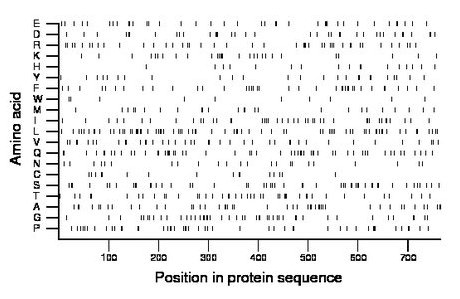 amino acid map