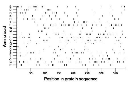 amino acid map