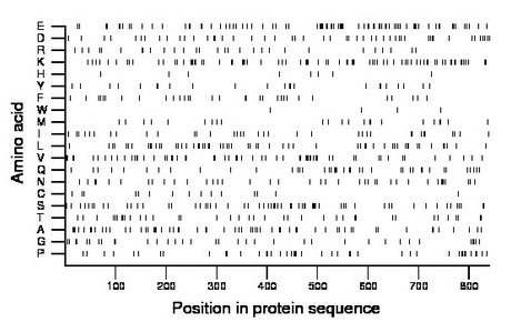 amino acid map