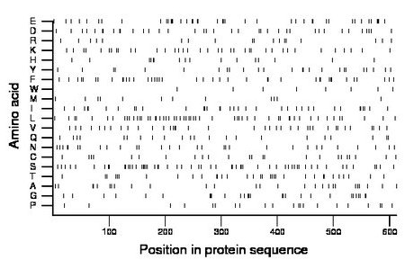 amino acid map