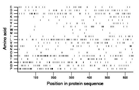 amino acid map