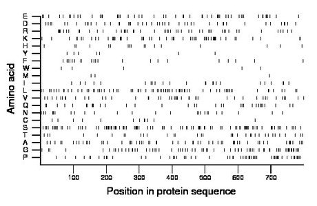 amino acid map