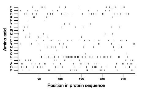 amino acid map