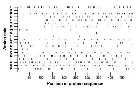 amino acid map