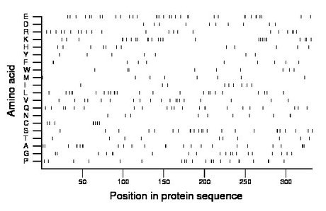 amino acid map