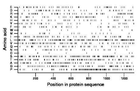 amino acid map