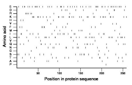 amino acid map