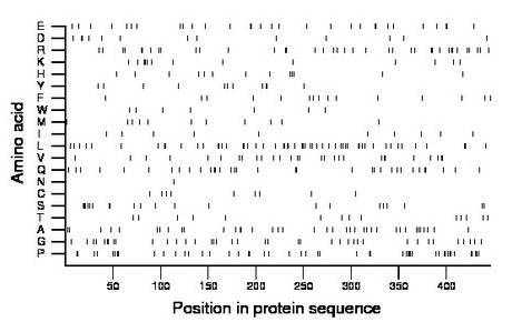 amino acid map