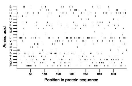 amino acid map