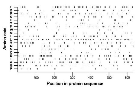 amino acid map