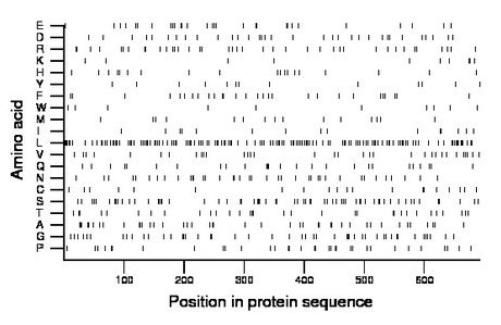 amino acid map