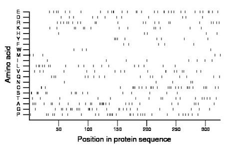 amino acid map