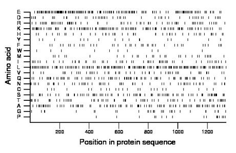 amino acid map