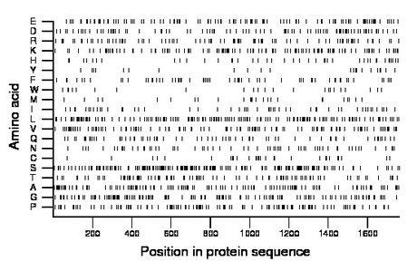 amino acid map